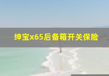 绅宝x65后备箱开关保险