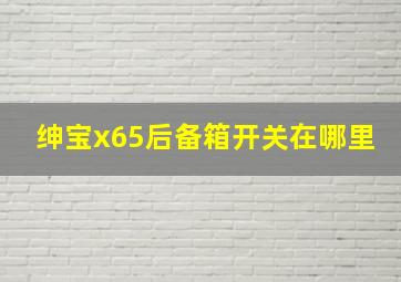 绅宝x65后备箱开关在哪里