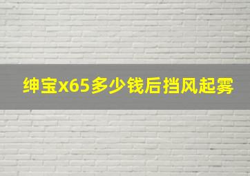 绅宝x65多少钱后挡风起雾