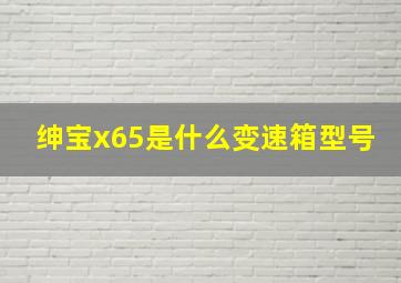 绅宝x65是什么变速箱型号