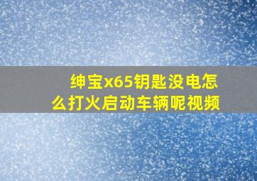 绅宝x65钥匙没电怎么打火启动车辆呢视频