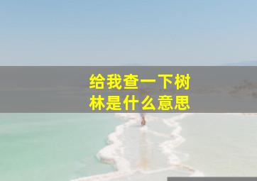 给我查一下树林是什么意思