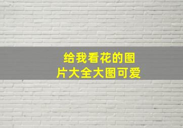 给我看花的图片大全大图可爱