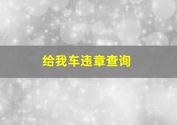 给我车违章查询