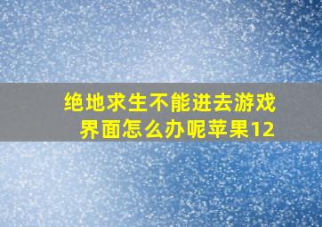 绝地求生不能进去游戏界面怎么办呢苹果12