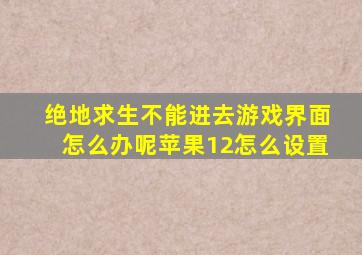 绝地求生不能进去游戏界面怎么办呢苹果12怎么设置