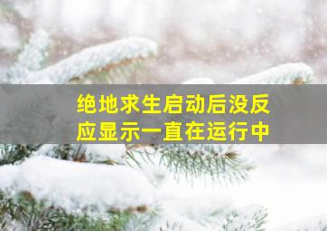 绝地求生启动后没反应显示一直在运行中