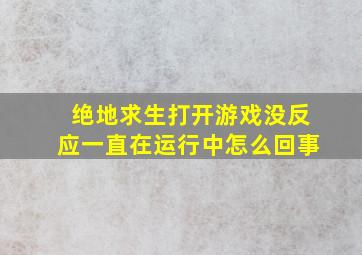 绝地求生打开游戏没反应一直在运行中怎么回事