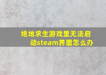 绝地求生游戏里无法启动steam界面怎么办