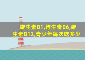 维生素B1,维生素B6,维生素B12,青少年每次吃多少