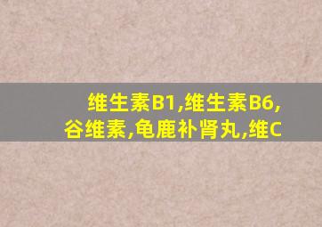 维生素B1,维生素B6,谷维素,龟鹿补肾丸,维C