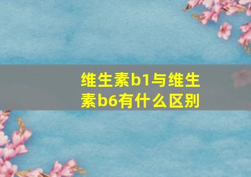 维生素b1与维生素b6有什么区别