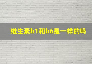 维生素b1和b6是一样的吗