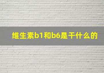 维生素b1和b6是干什么的