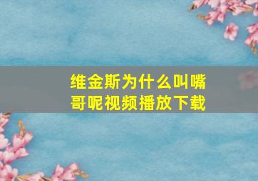 维金斯为什么叫嘴哥呢视频播放下载