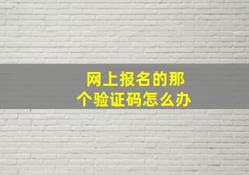 网上报名的那个验证码怎么办