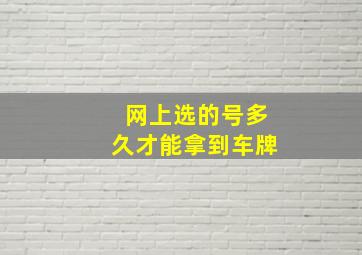 网上选的号多久才能拿到车牌