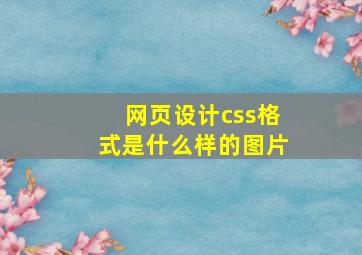 网页设计css格式是什么样的图片