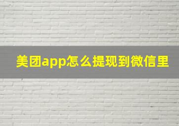 美团app怎么提现到微信里