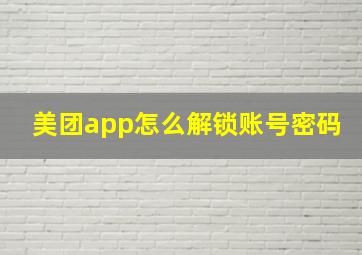 美团app怎么解锁账号密码