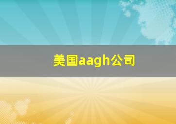 美国aagh公司