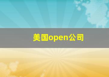 美国open公司