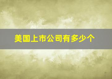 美国上市公司有多少个