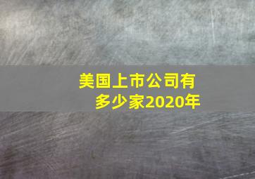 美国上市公司有多少家2020年