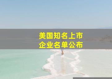 美国知名上市企业名单公布