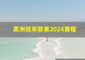 美洲冠军联赛2024赛程