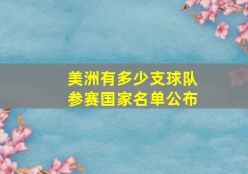 美洲有多少支球队参赛国家名单公布