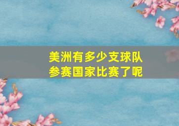 美洲有多少支球队参赛国家比赛了呢