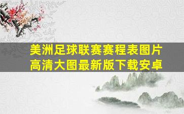 美洲足球联赛赛程表图片高清大图最新版下载安卓