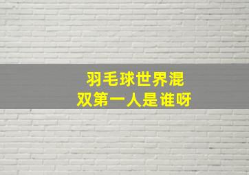 羽毛球世界混双第一人是谁呀