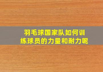 羽毛球国家队如何训练球员的力量和耐力呢