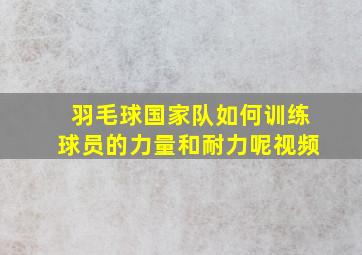 羽毛球国家队如何训练球员的力量和耐力呢视频