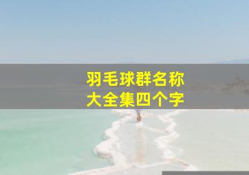 羽毛球群名称大全集四个字