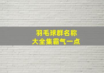 羽毛球群名称大全集霸气一点