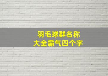 羽毛球群名称大全霸气四个字