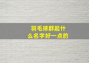 羽毛球群起什么名字好一点的