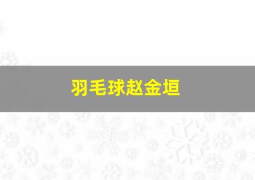 羽毛球赵金垣