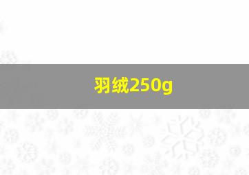 羽绒250g