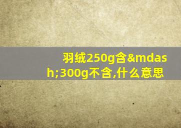 羽绒250g含—300g不含,什么意思