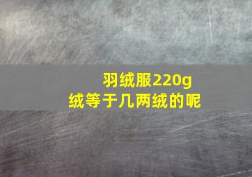 羽绒服220g绒等于几两绒的呢