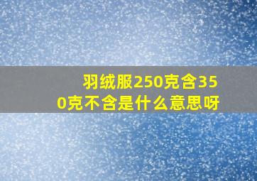 羽绒服250克含350克不含是什么意思呀