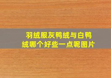 羽绒服灰鸭绒与白鸭绒哪个好些一点呢图片