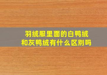 羽绒服里面的白鸭绒和灰鸭绒有什么区别吗