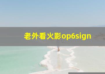 老外看火影op6sign