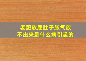 老想放屁肚子胀气放不出来是什么病引起的