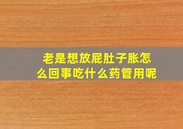 老是想放屁肚子胀怎么回事吃什么药管用呢